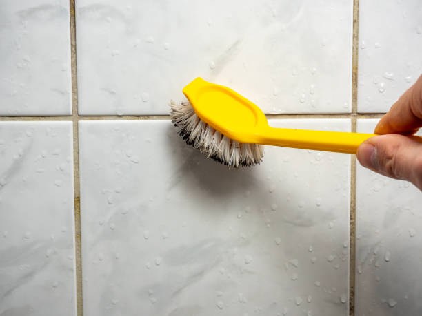 Certified Mold Removal in Sheridan, IN