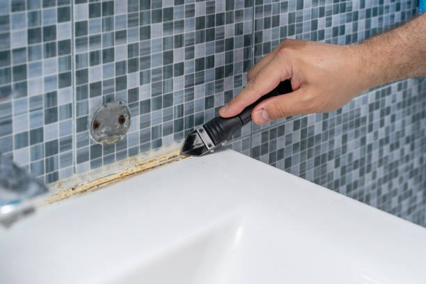 Best Attic Mold Removal  in Sheridan, IN